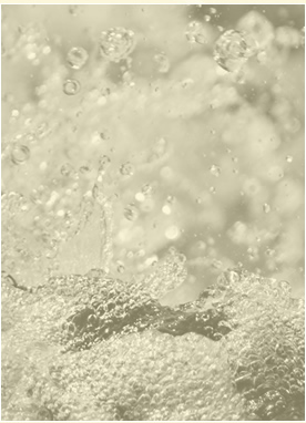 Pathway of Healing - Ellen Schaad - Heilung von Geist, Seele & Körper für Mensch und Tier - Channeling - Weisse Bruderschaft